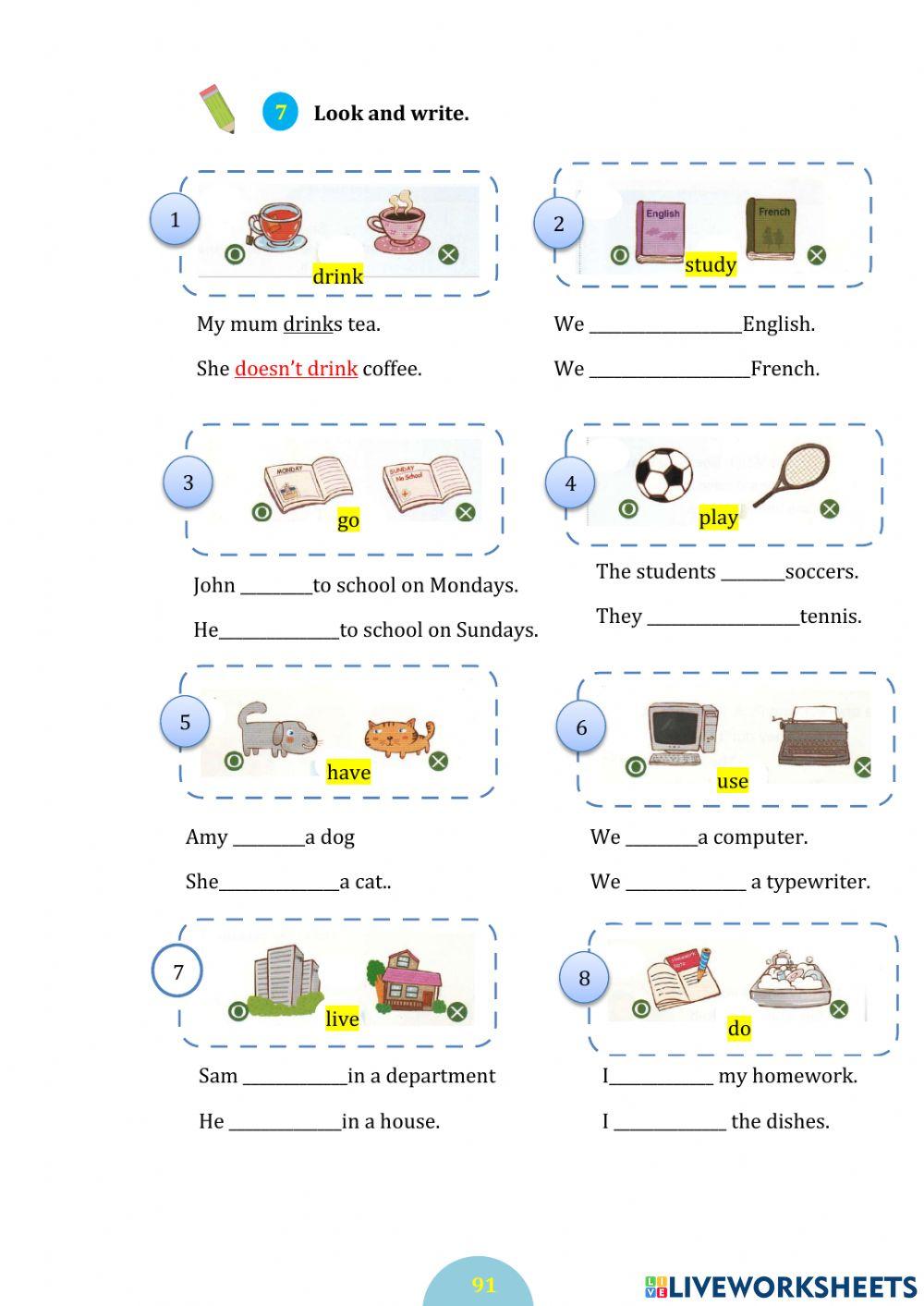 Basic grammar- present simple
