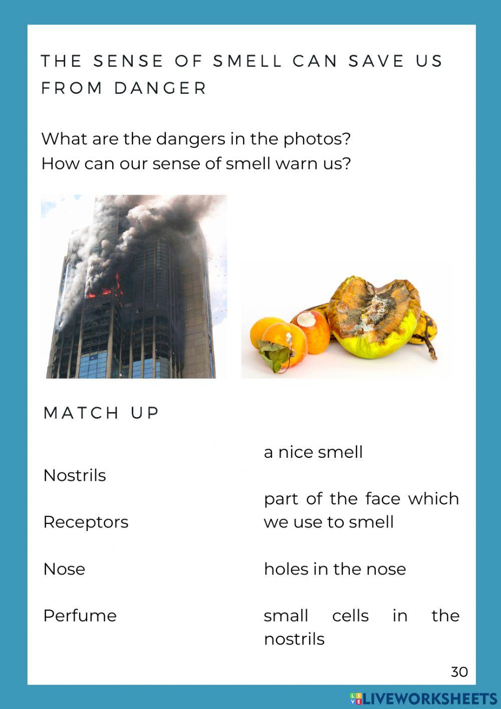 Smell Smell