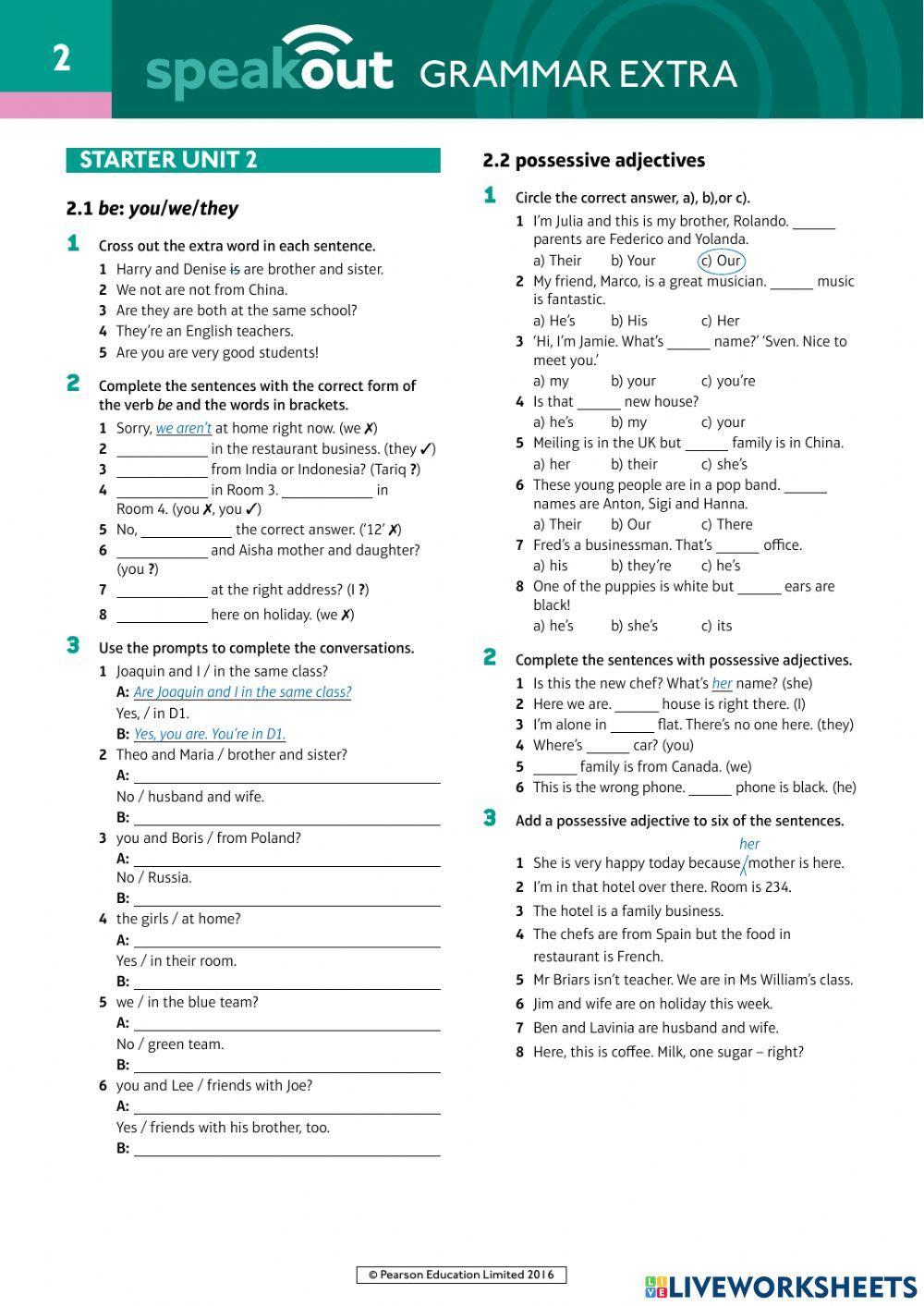 Speak Out starter Grammar U 2