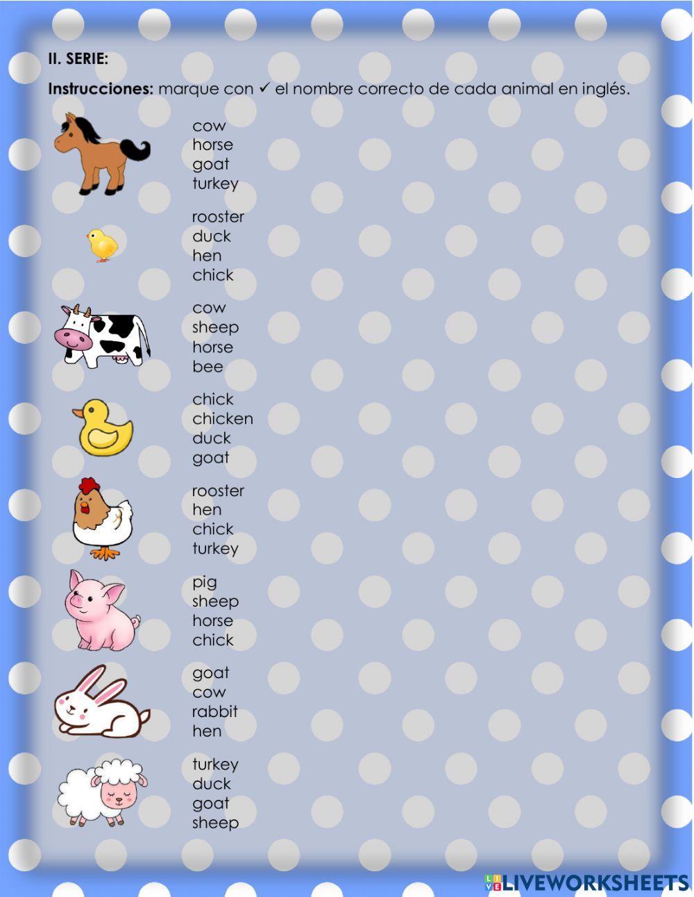 Breakfast and farm animals - 3.5.2°