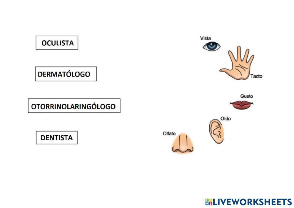 Médicos de los sentidos