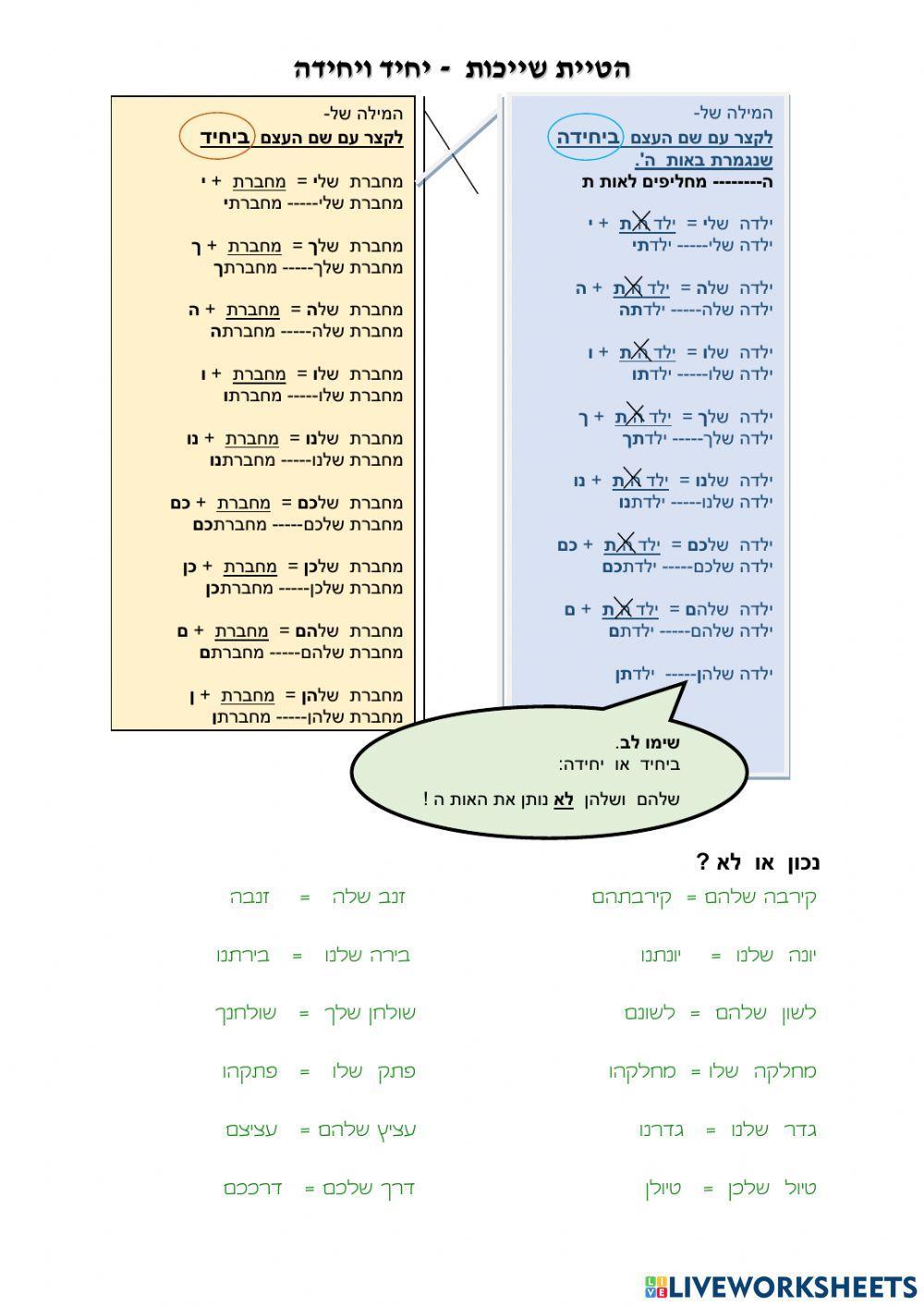 הטיית שייכות יחיד יחידה2