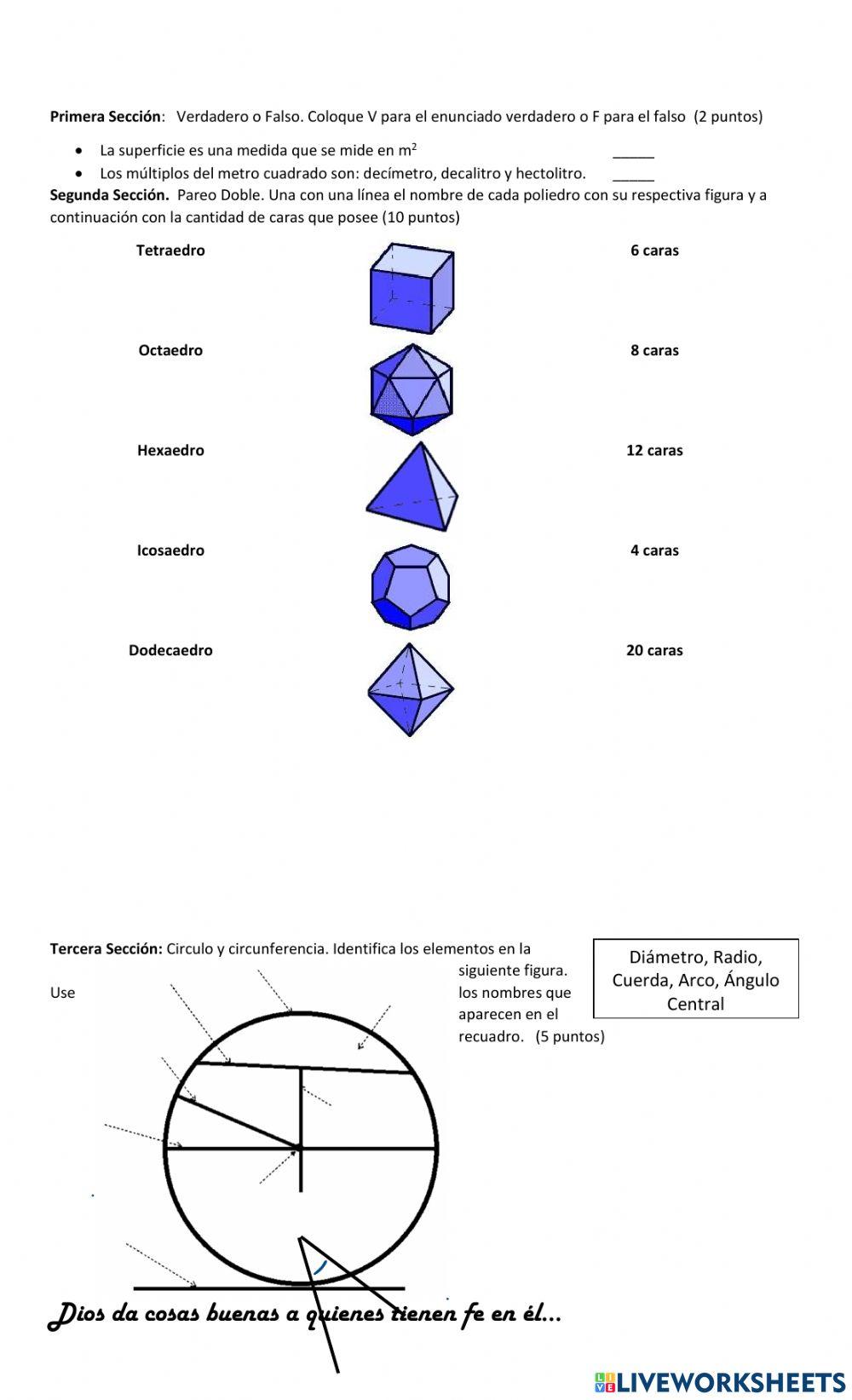 Guia de Examen Trimestral