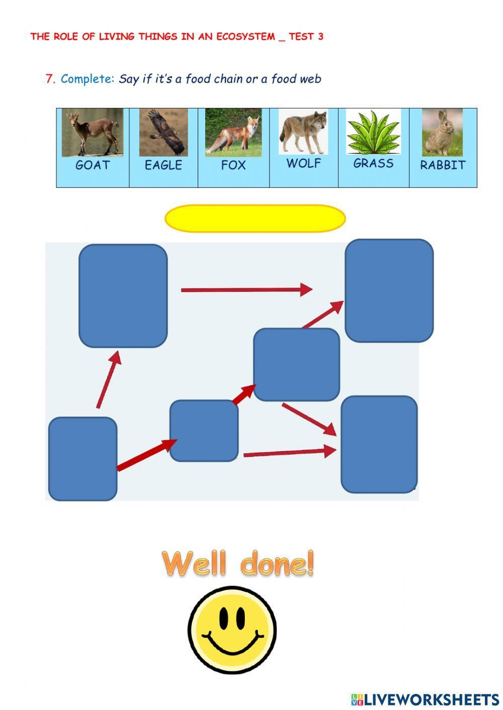 Role of living things TEST 3