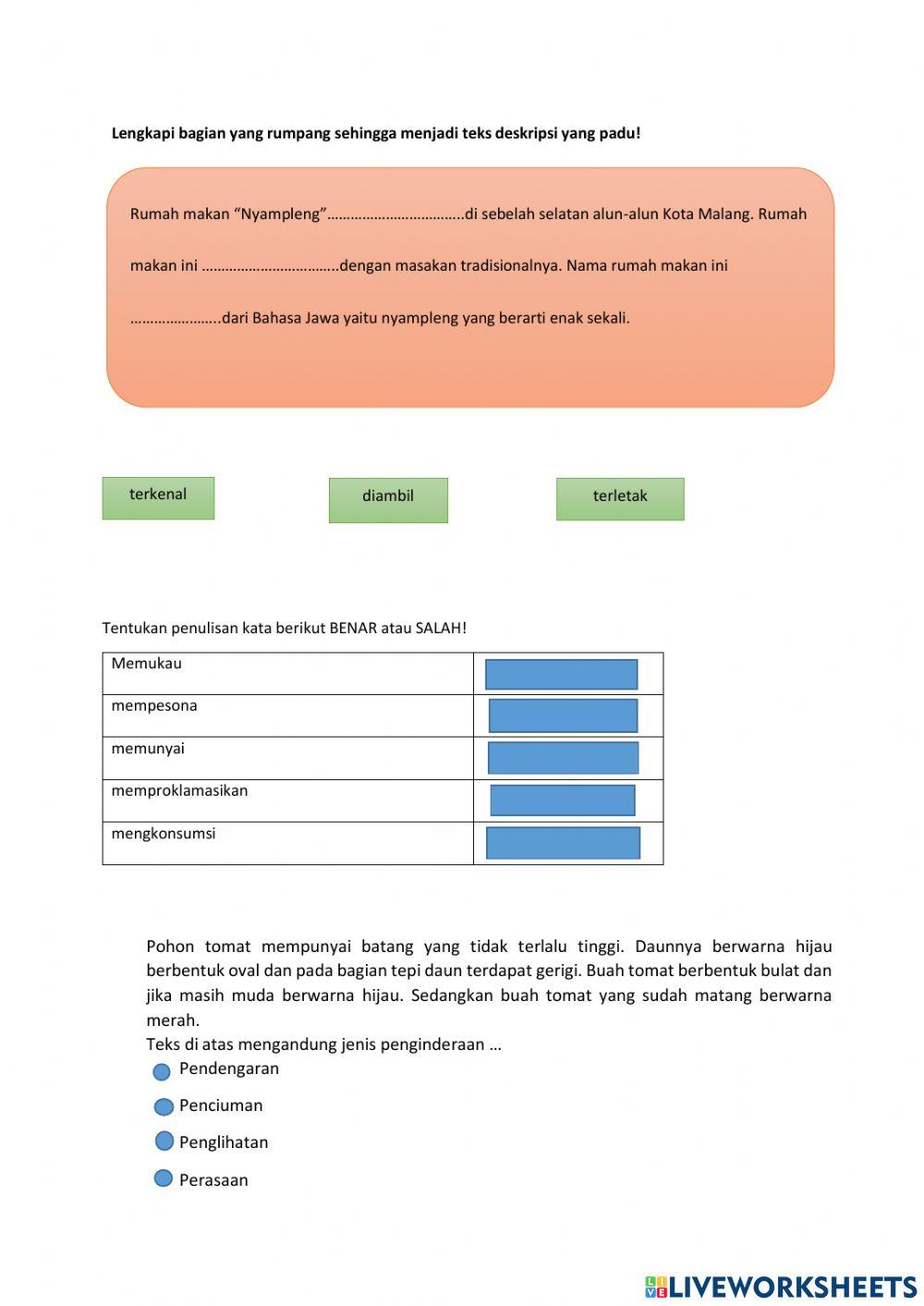 PTS Bahasa Indonesia