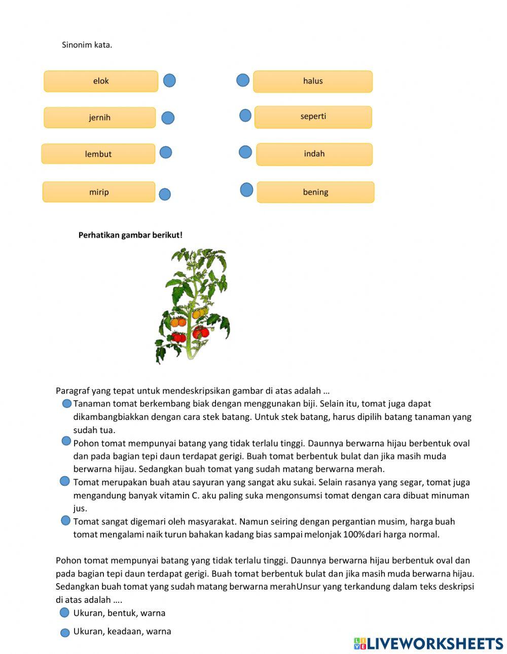 PTS Bahasa Indonesia