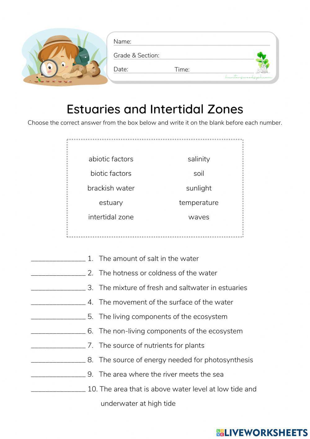 Estuaries and Intertidal Zones - HunterWoodsPH.com Worksheet