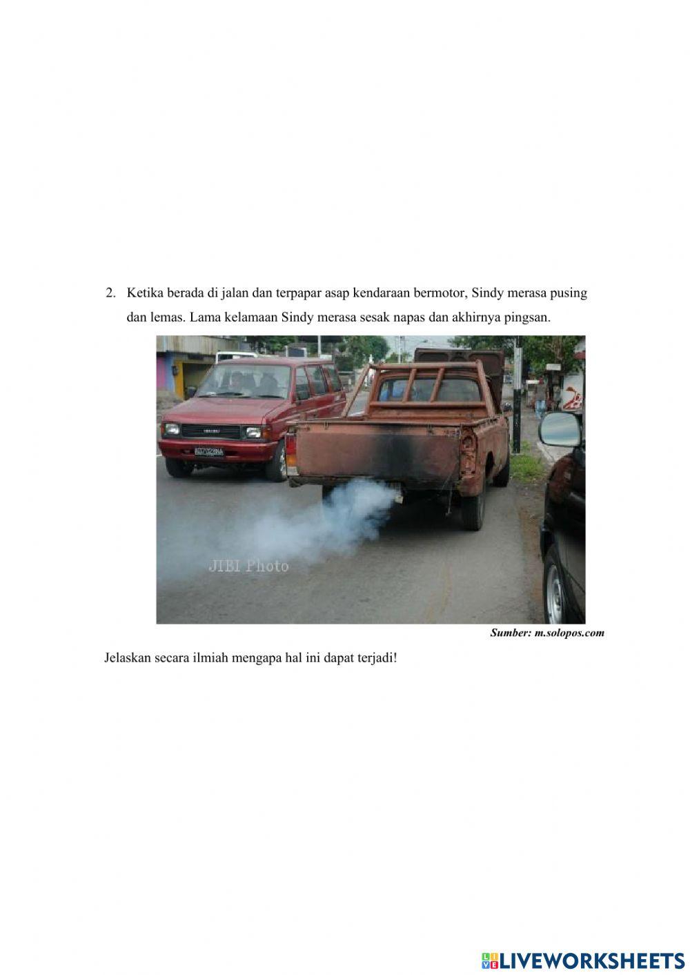 Instrumen Penilaian Sistem Pernapasan