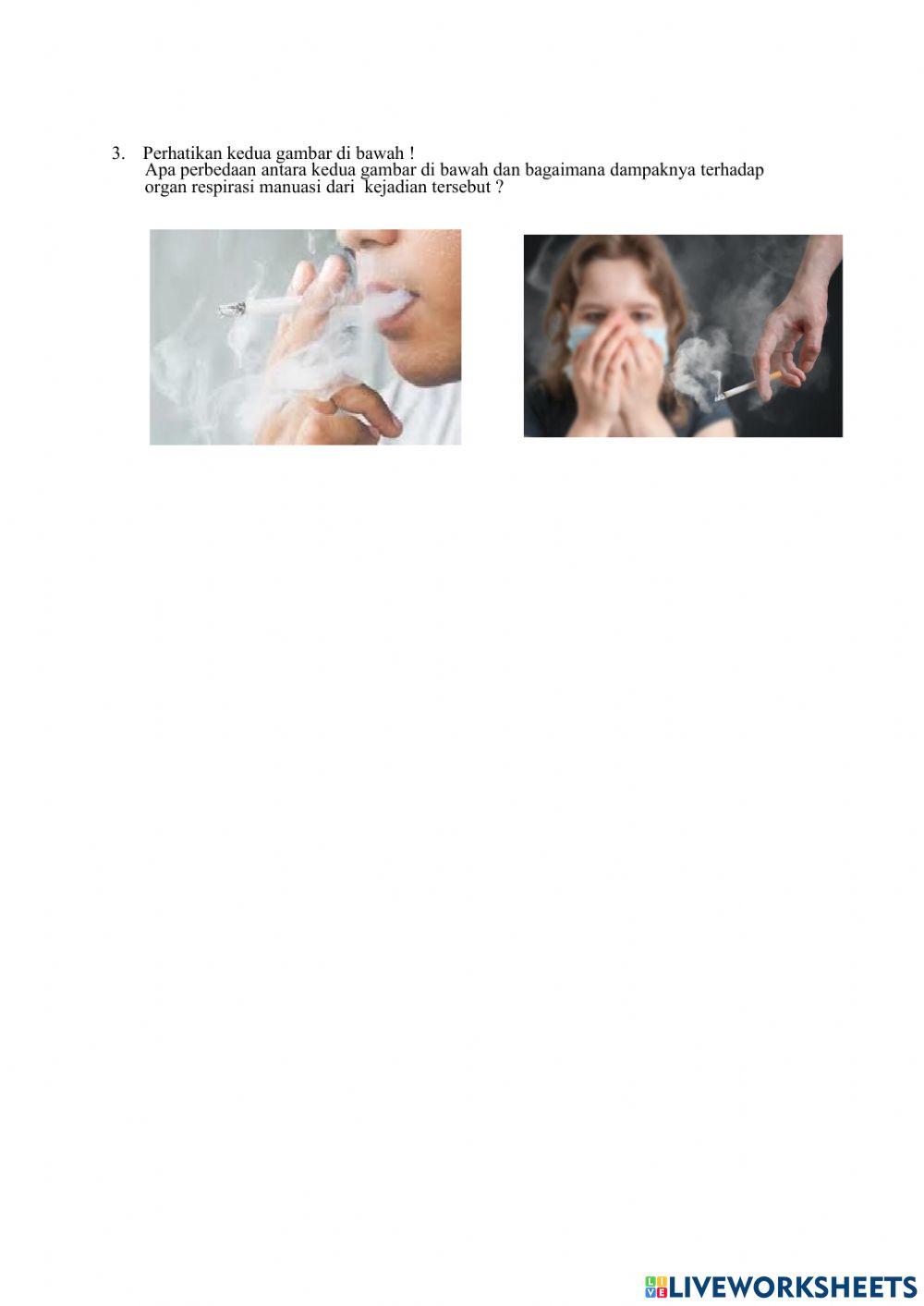 Instrumen Penilaian Sistem Pernapasan