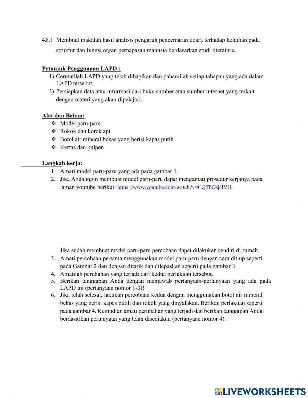 Lkpd sistem raspirasi