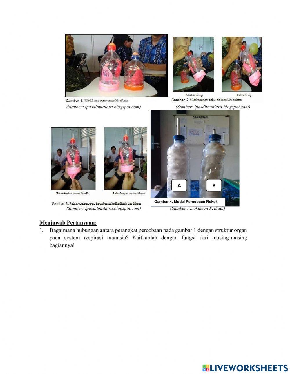 Lkpd sistem raspirasi