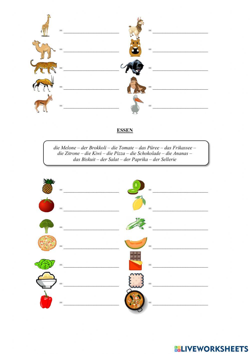Découverte de l'allemand