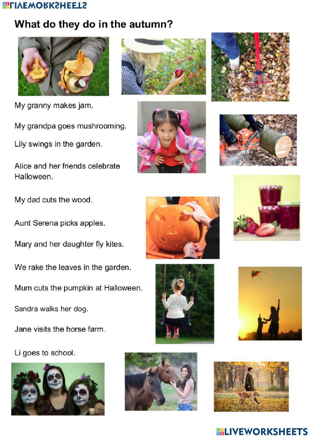 autumn-activities-rmacauley-live-worksheets