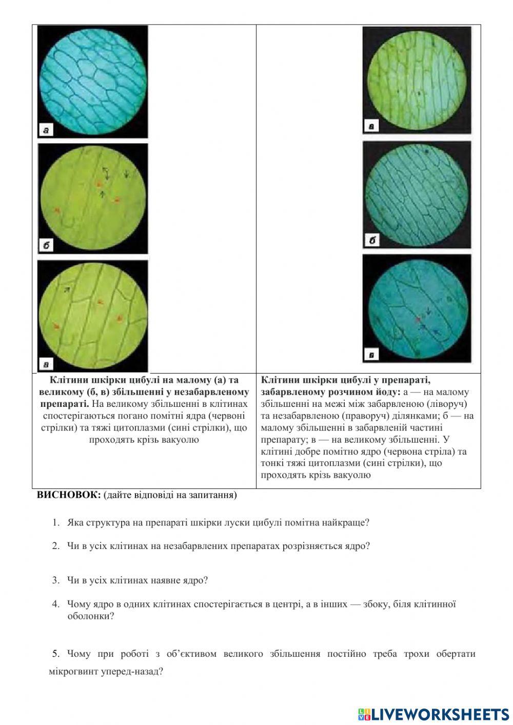 Практична робота 2