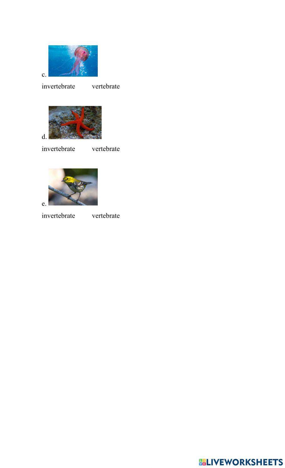 Invertebrates: Arthropods