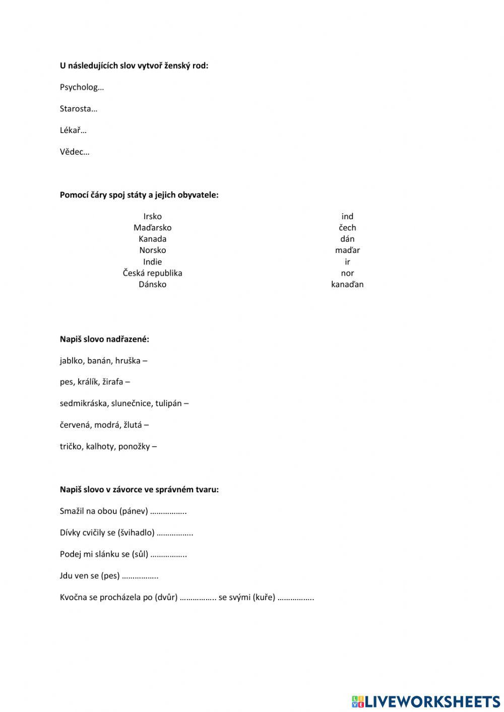 Pracovní list - český jazyk