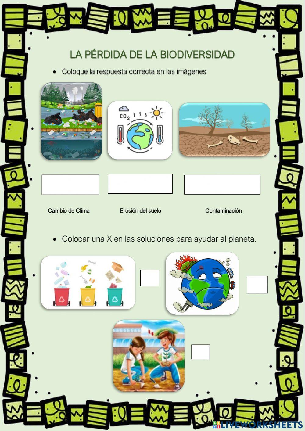 La pérdida de la biodiversidad