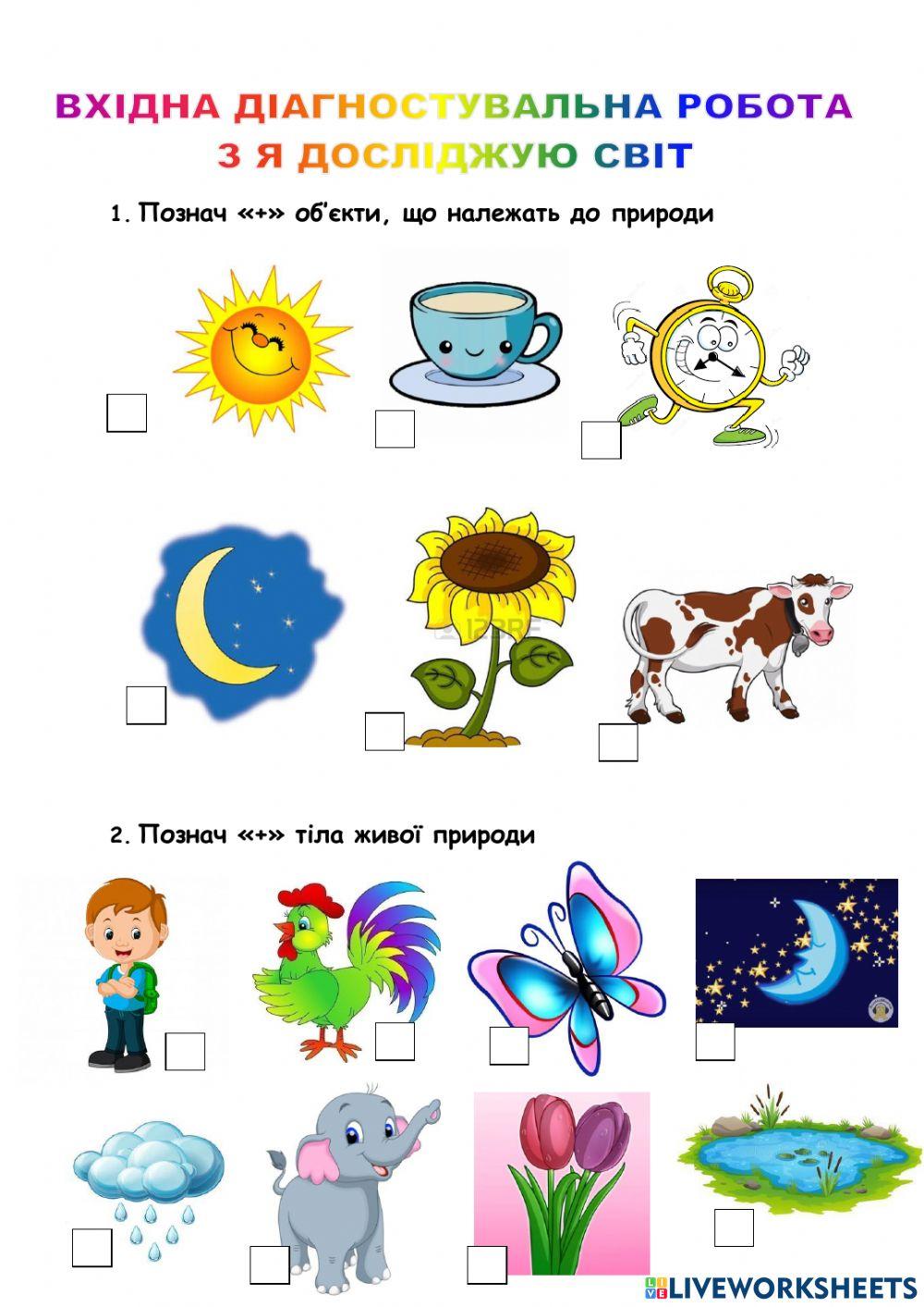 Вхідна діагностувальна робота з ЯДС