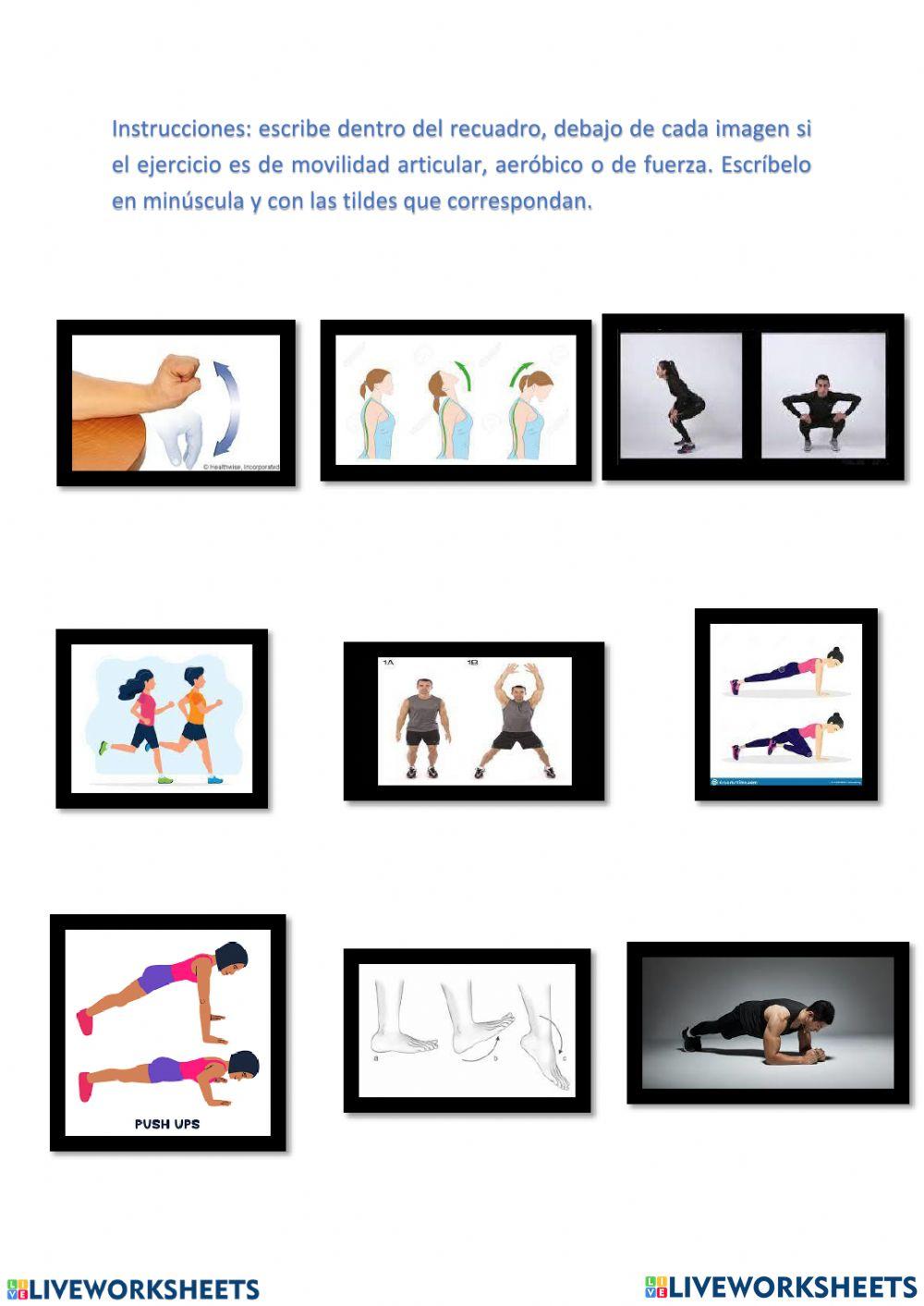 Movilidad articular y de fuerza