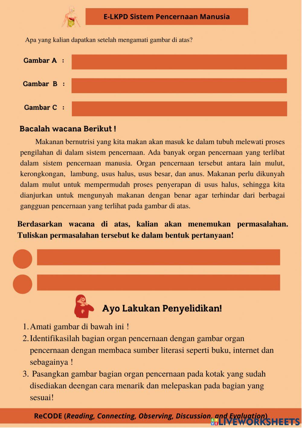 LKPD Sistem pencernaan -Struktur dan organ pencernaan manusia-