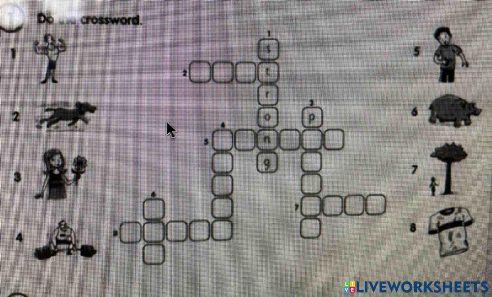 Fly high 3 p.54 Activity book