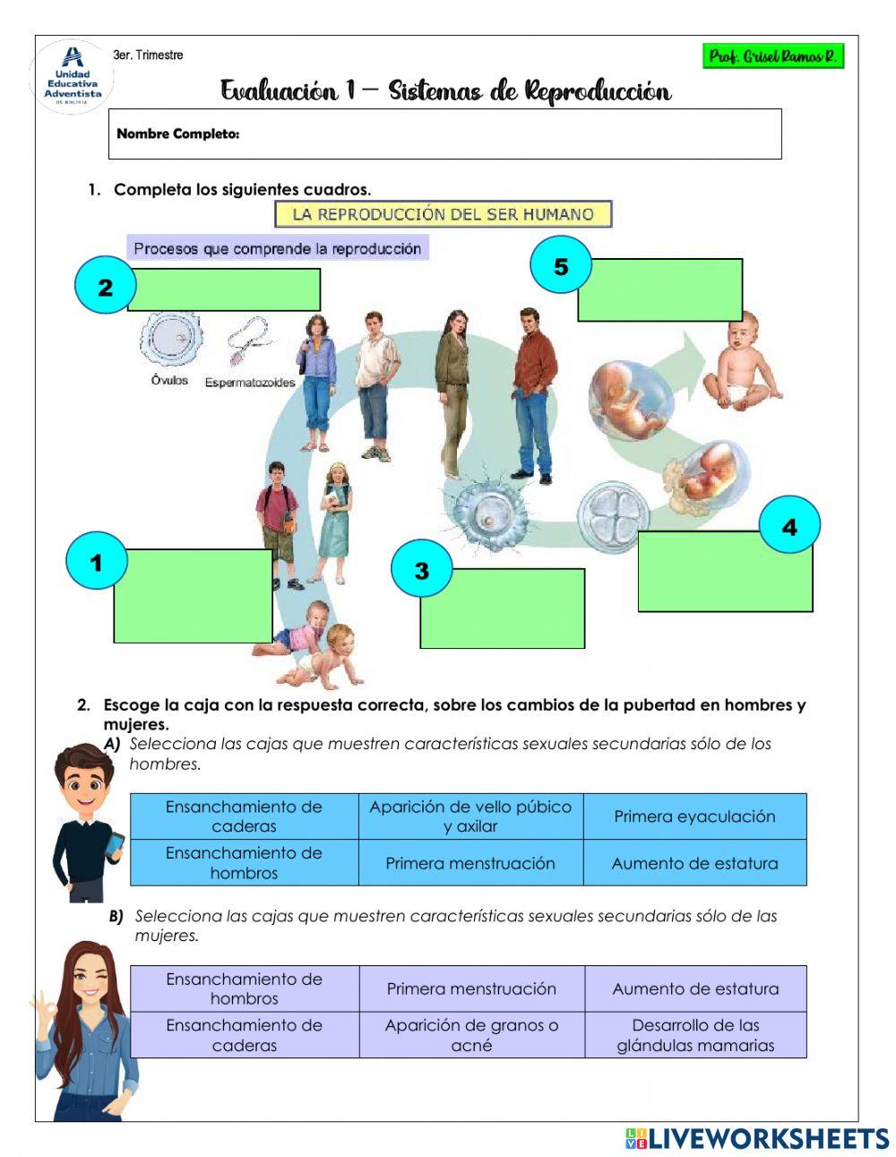 Evaluación Sistemas de Reproducción