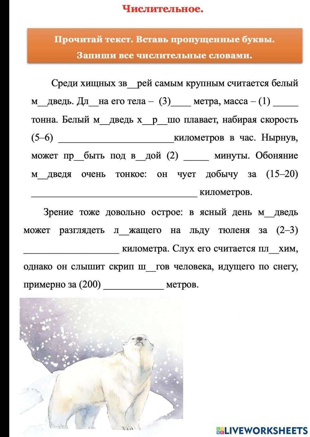 Числительные