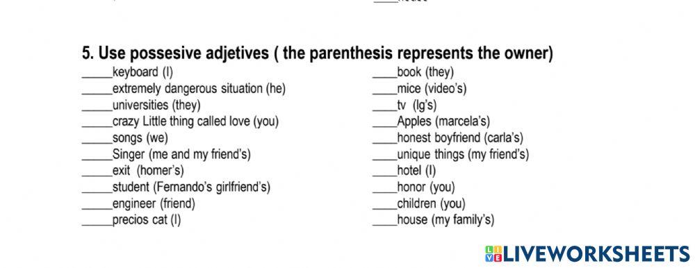 Possessive adjetives