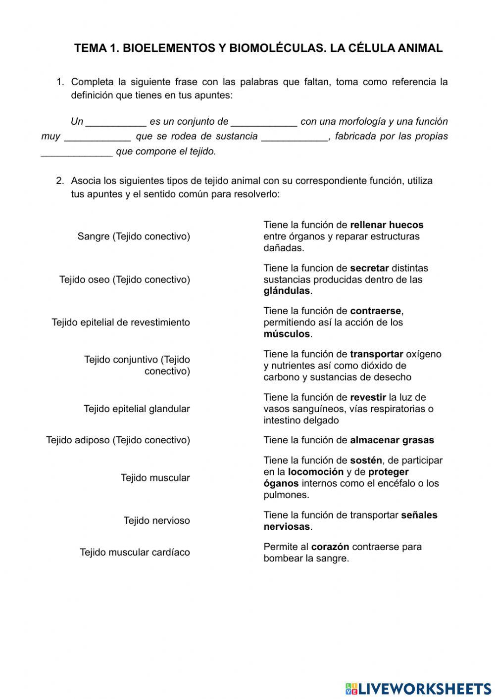 Tejidos, órganos, aparatos y sistemas