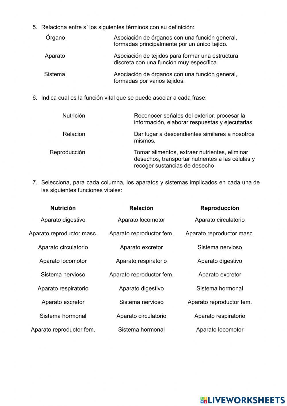 Tejidos, órganos, aparatos y sistemas
