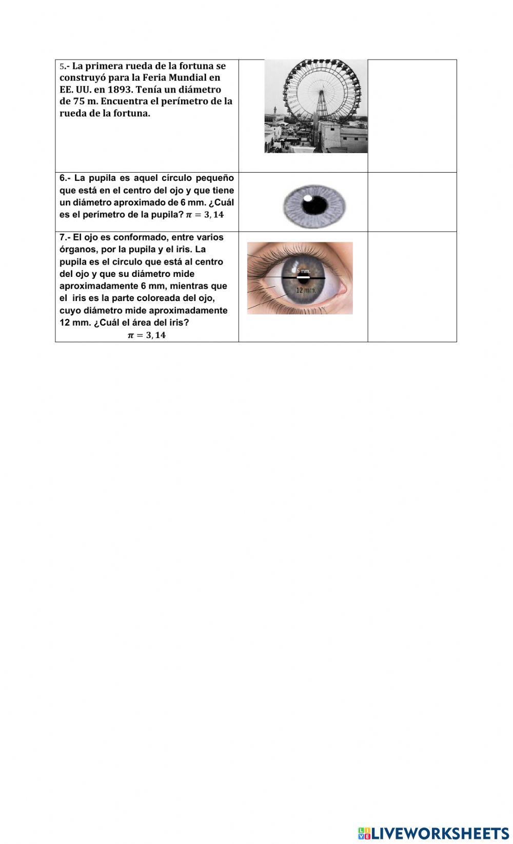 Area y perimetro circulo y circunferencia
