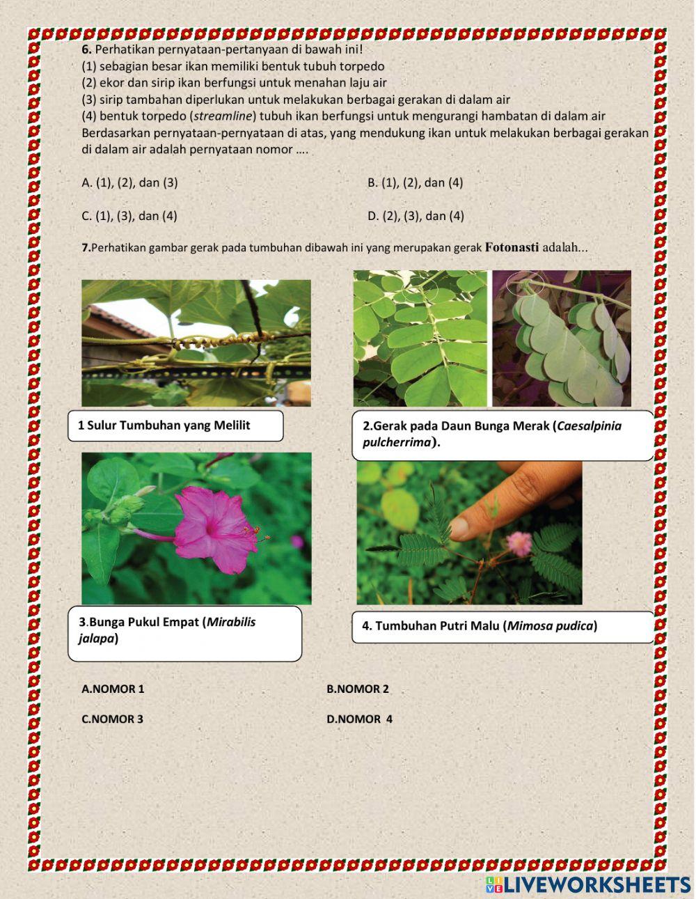 Soal pts ipa kelas 8