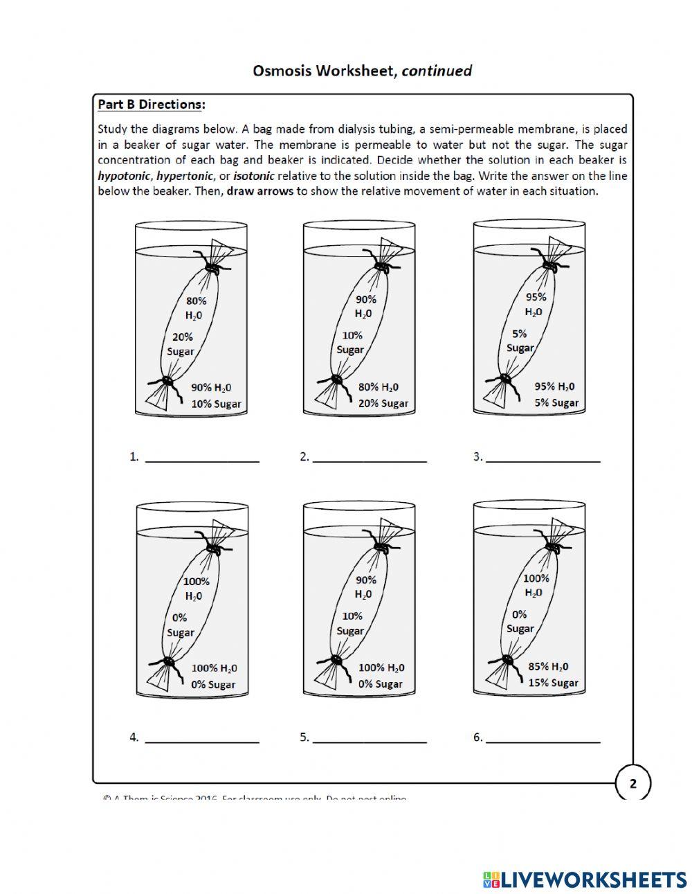 Tonicity and Osmosis Worksheet online exercise for Live Worksheets
