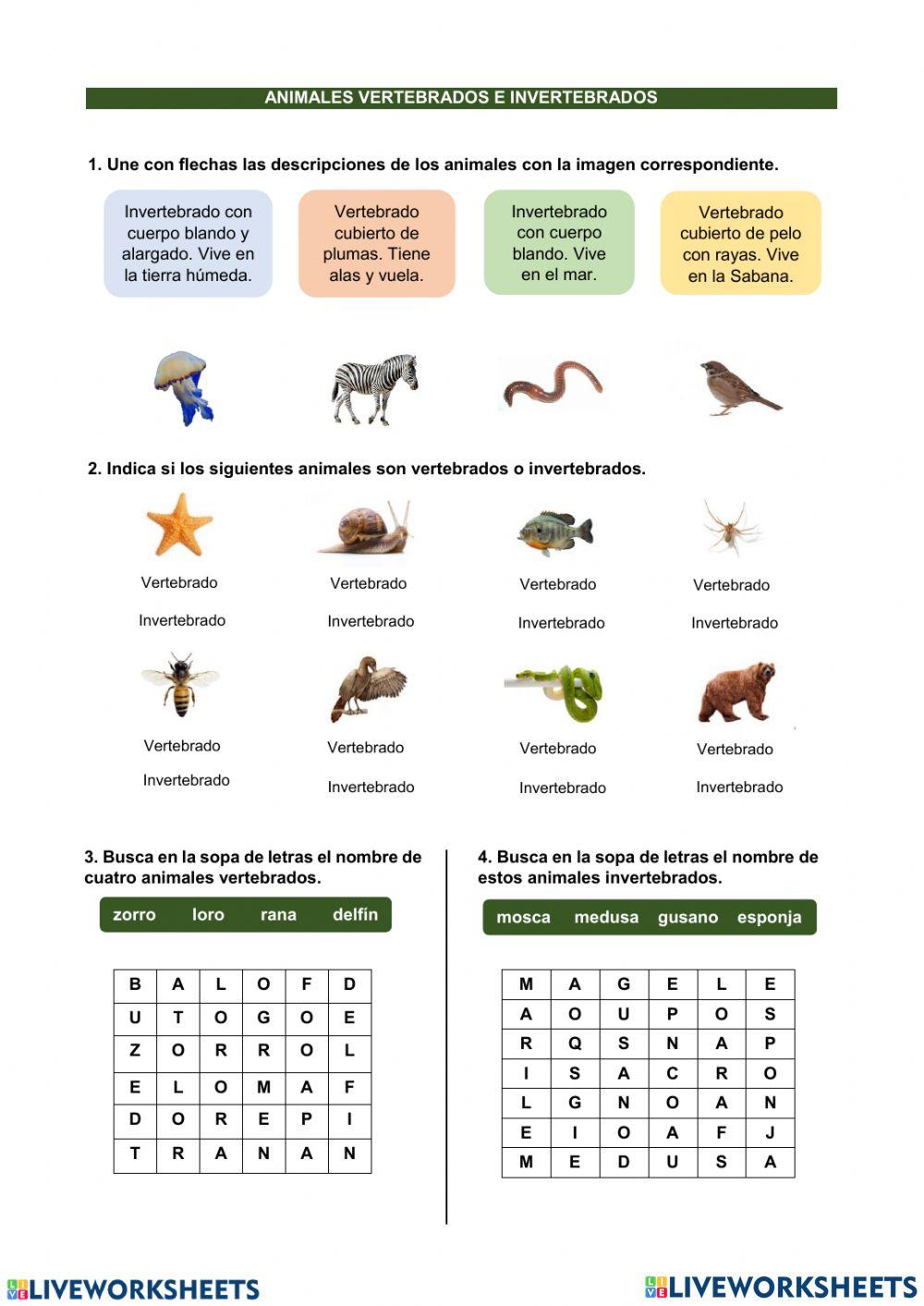Animales vertebrados e invertebrados online exercise for 3ERO EGB