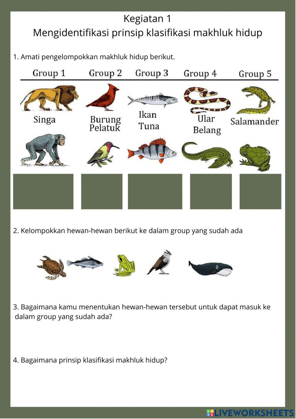 LKPD Klasifikasi makhluk hidup