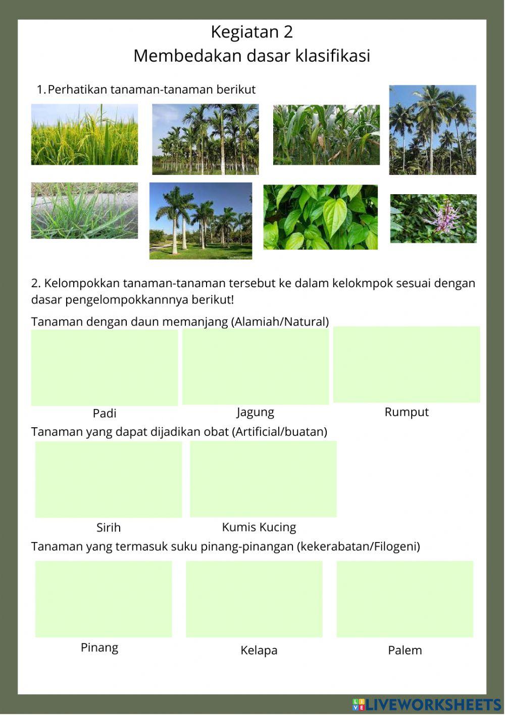 LKPD Klasifikasi makhluk hidup