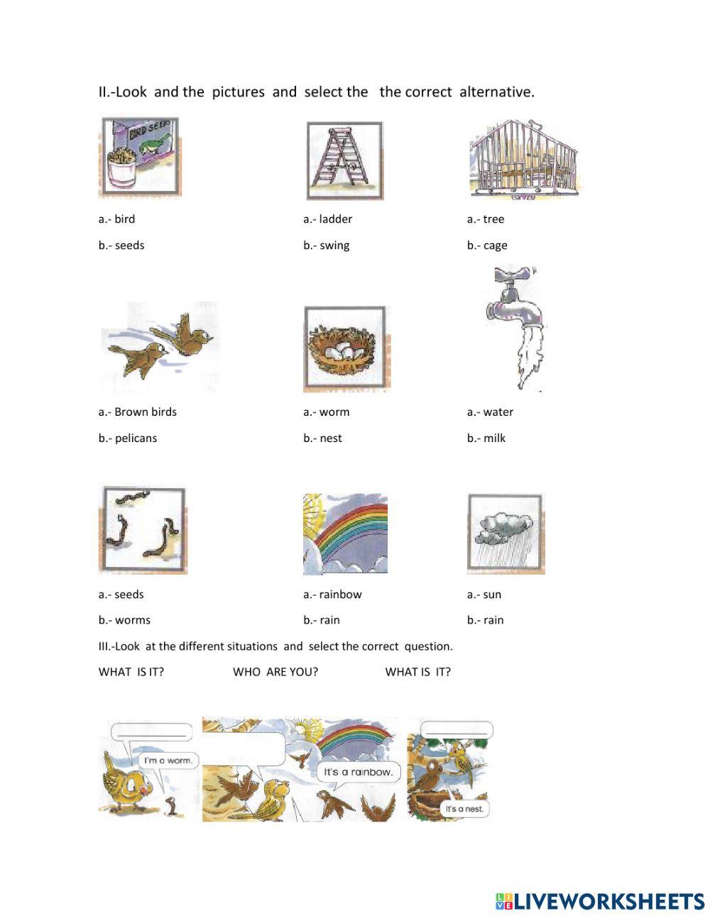 Test  joey  the bird