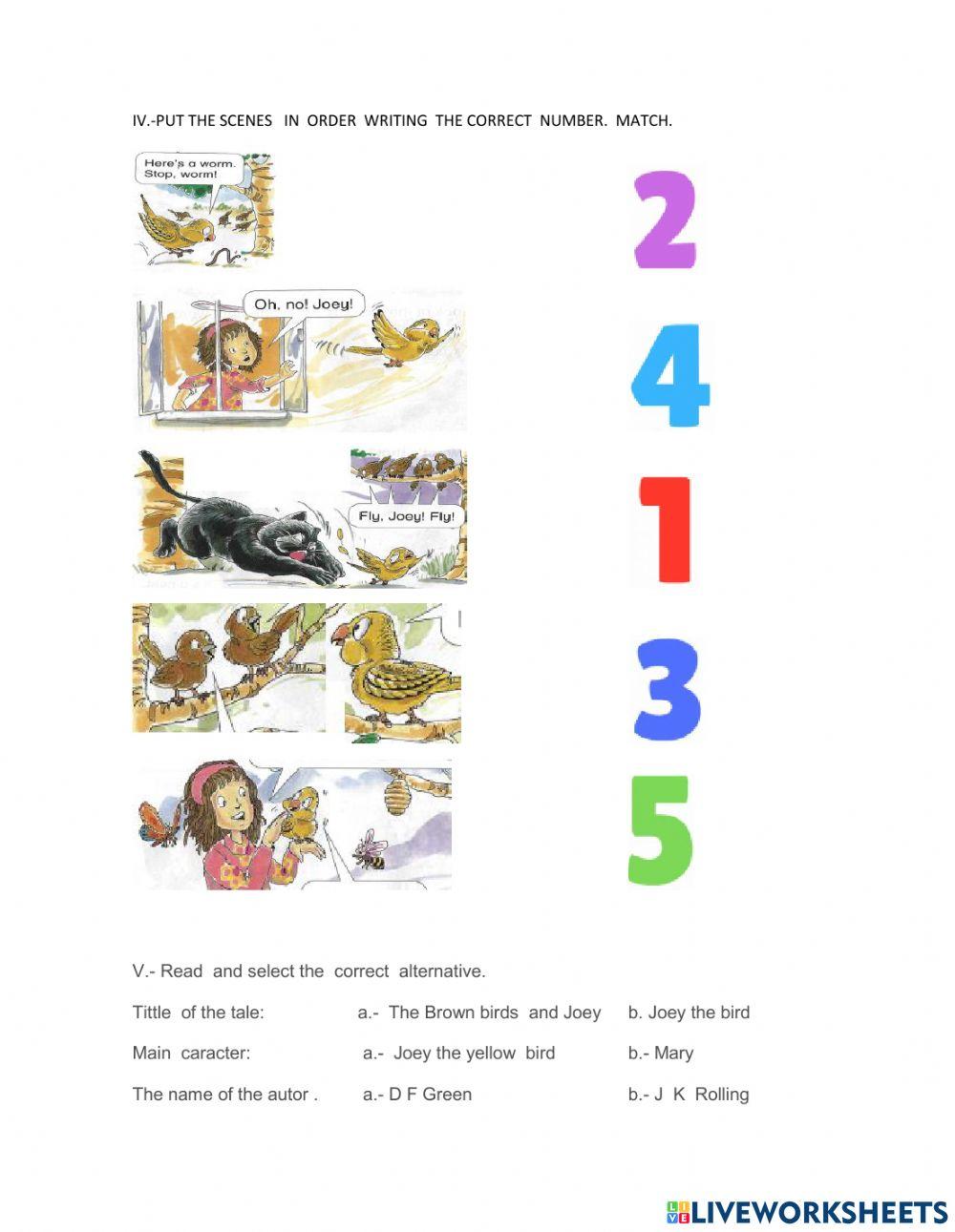 Test  joey  the bird