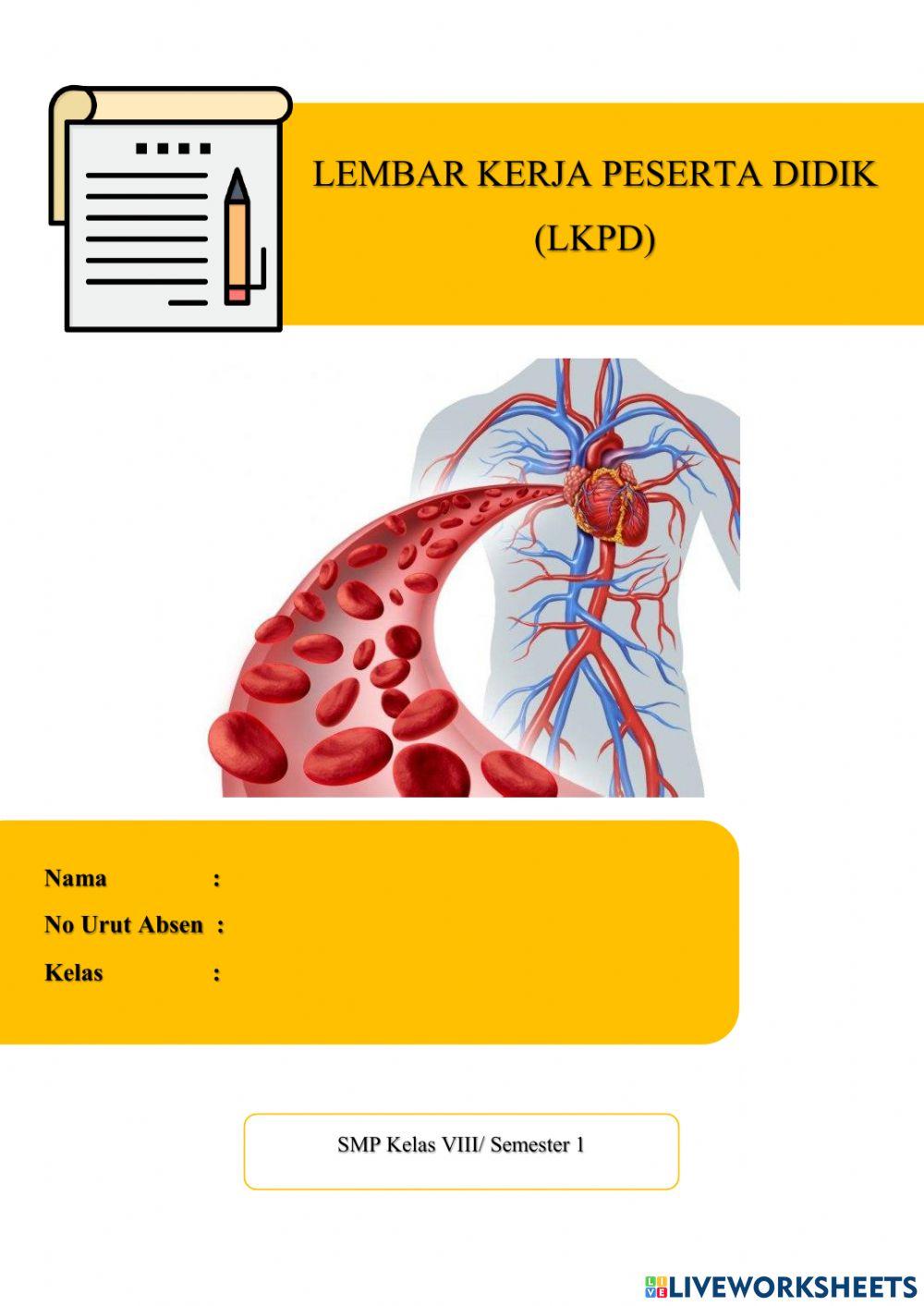 LKPD Sistem Peredaran Darah Manusia
