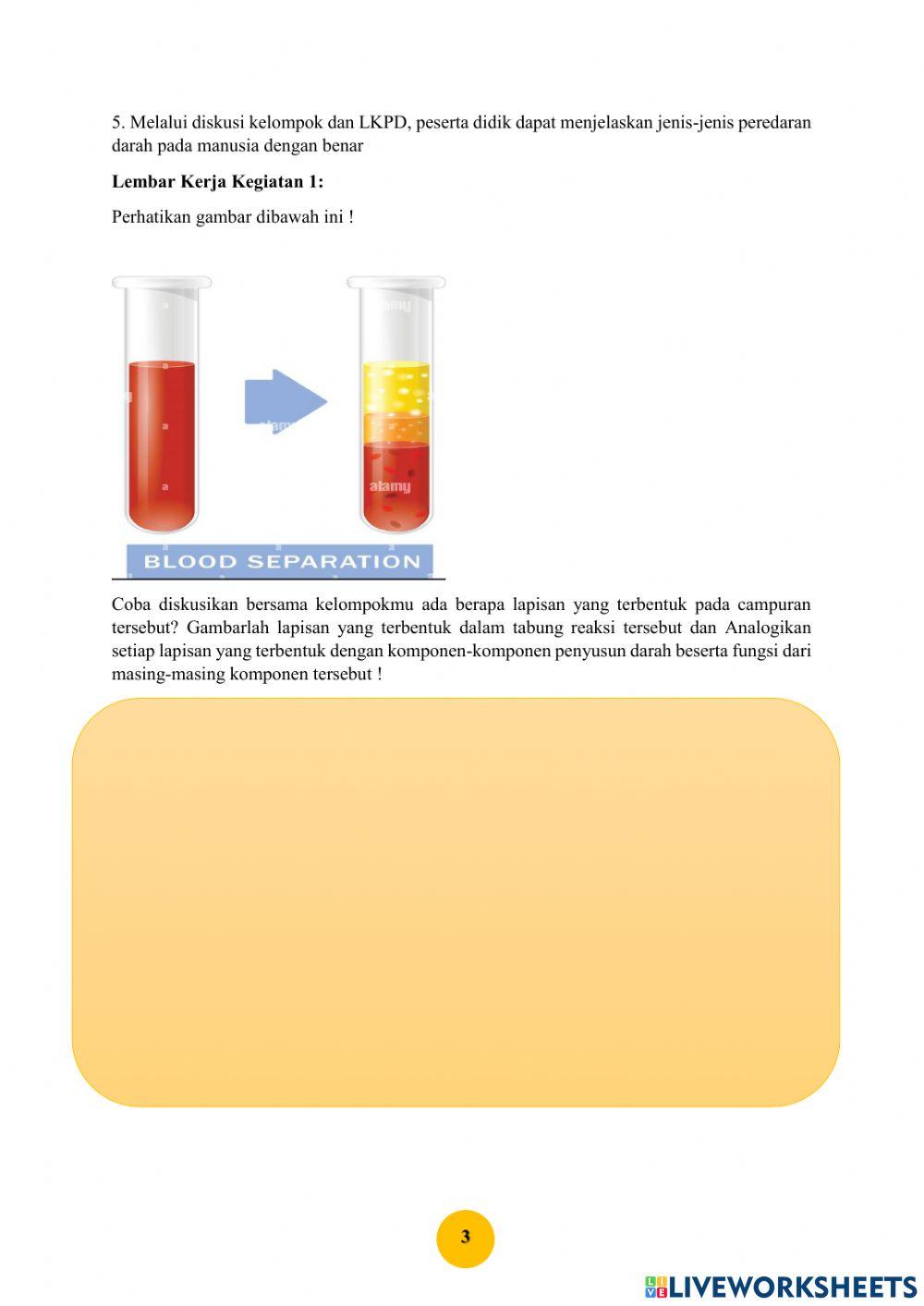LKPD Sistem Peredaran Darah Manusia