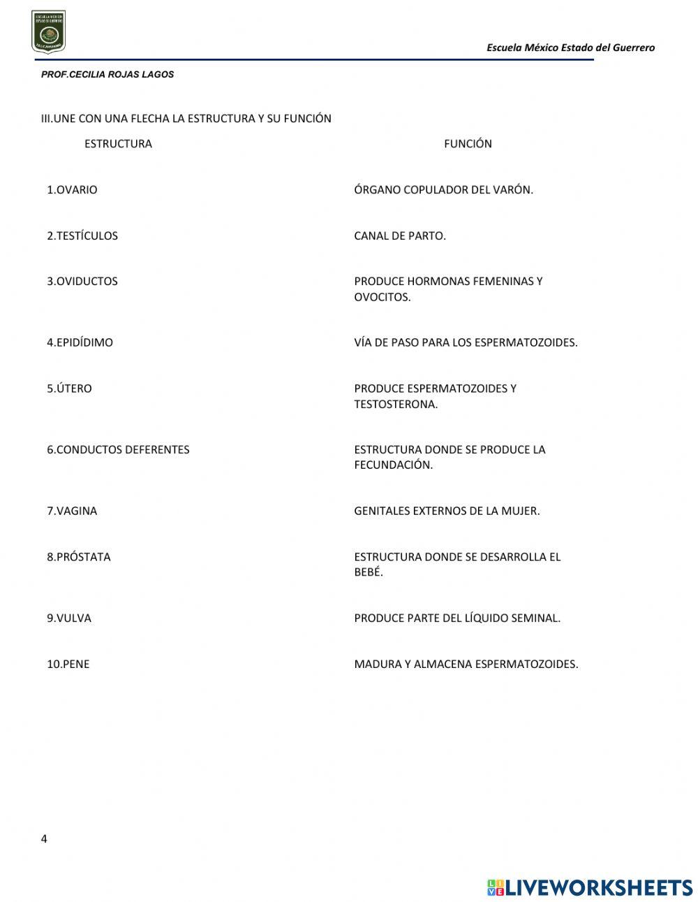 Aparatos resprodructores y caracteres sexuales secundarios
