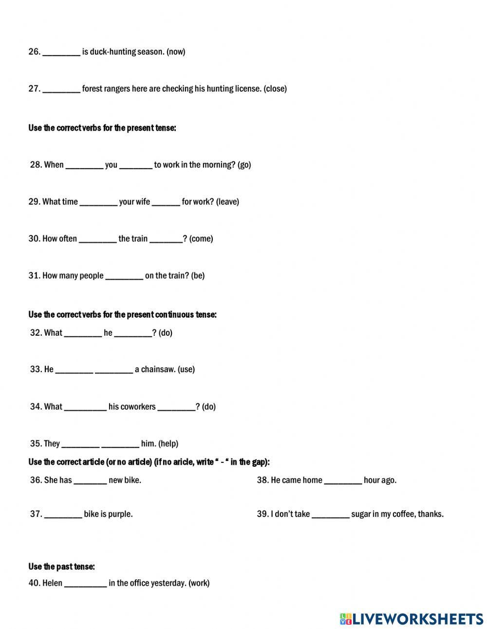 English Basics Final Test
