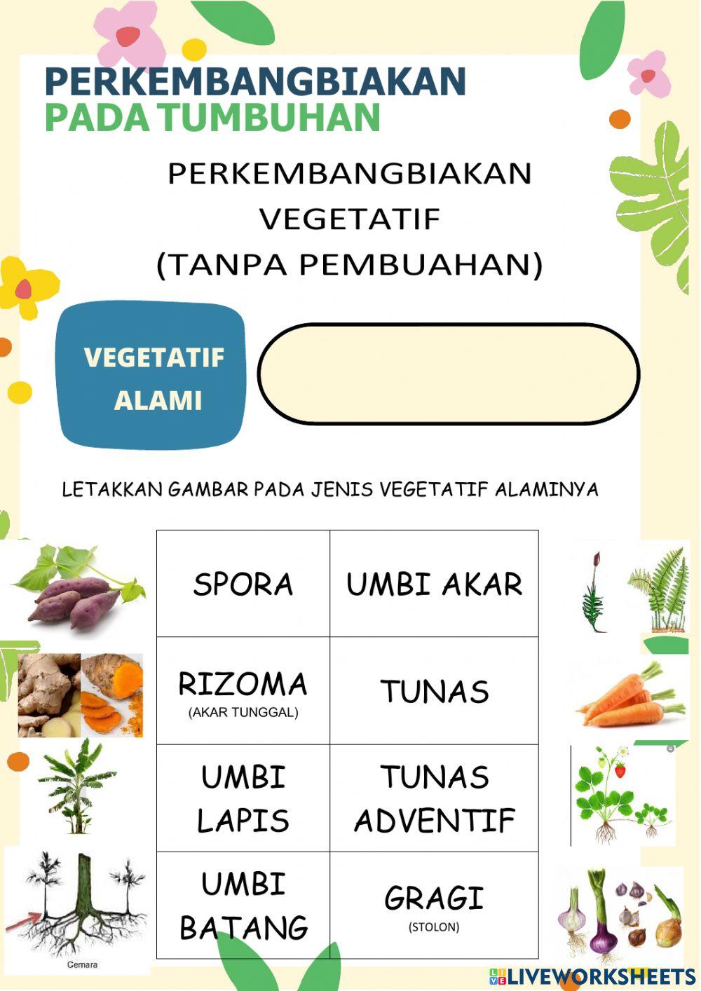 Lkpd ipa perkembangbiakan