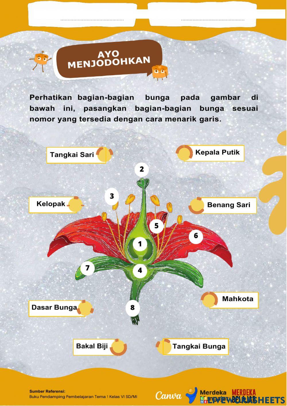 Lkpd ipa perkembangbiakan