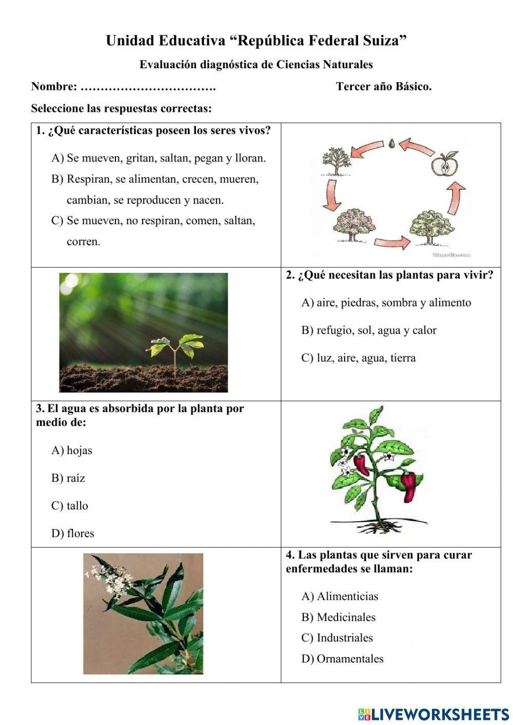 Diagnóstico Ciencias Naturales