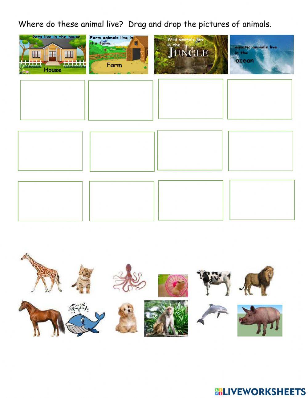 The Animals 2134210 Ana Teresa Osorio Y Live wild-animals-list-name