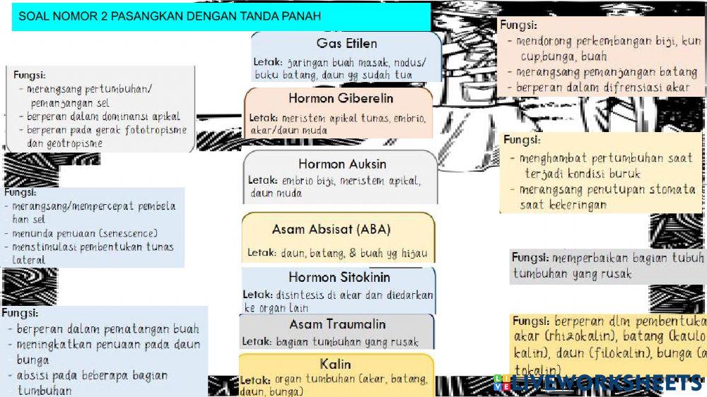 Pengaruh hormon internal pada pertumbuhan dan perkembangan tanaman