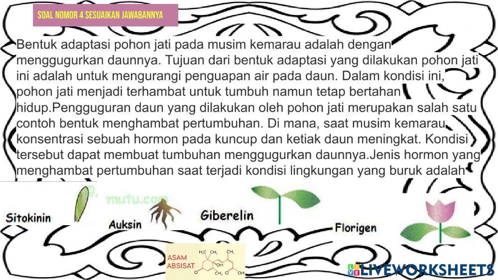 Pengaruh hormon internal pada pertumbuhan dan perkembangan tanaman