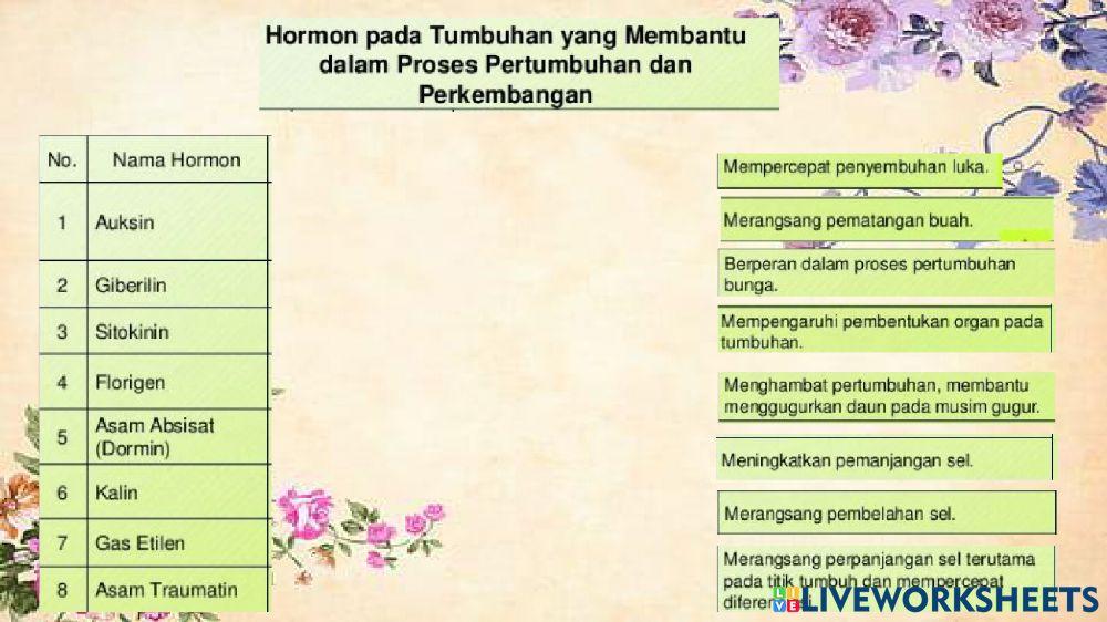 Pengaruh hormon internal pada pertumbuhan dan perkembangan tanaman