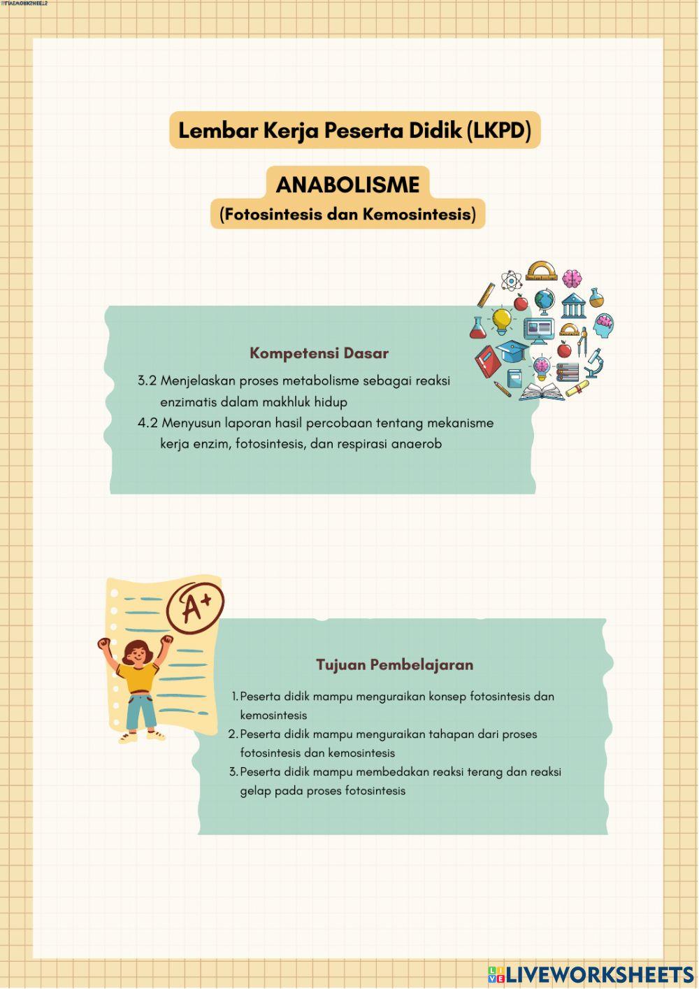 Anabolisme (Fotosintesis - Kemosintesi)